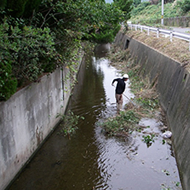 河川清掃 After